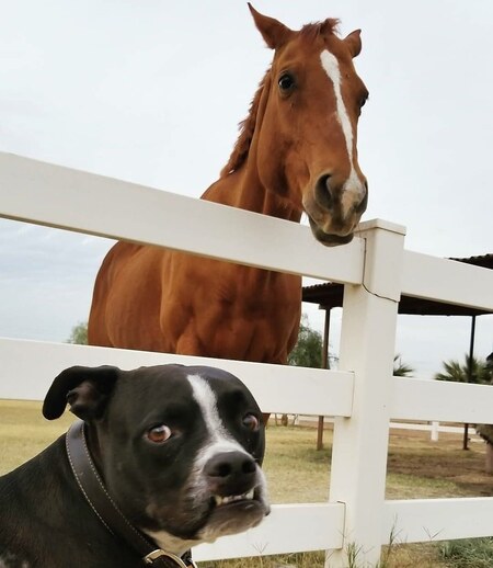 Pepper and Ruby