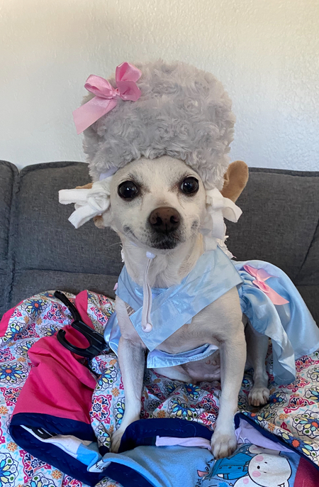 Libby Antoinette 
