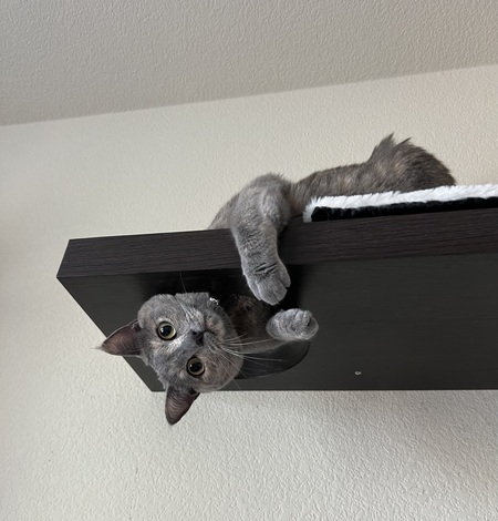 Hey! Whatcha Doing Down There? Schminckie