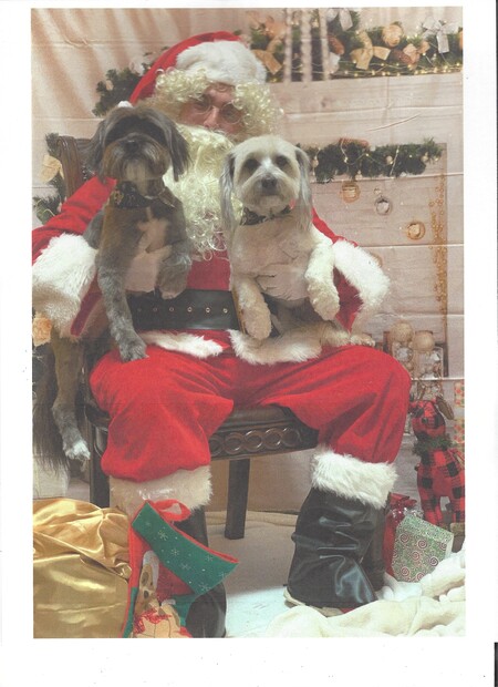 Vinnie and Rocco