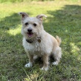 Entry image for Felix