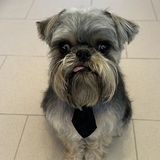 Entry image for Toby
