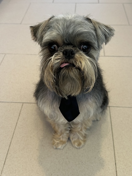 Entry image for Toby. Clicking this image will show a larger photo
