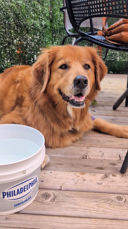 Entry image for Peanut Butter . Clicking this image will show a larger photo