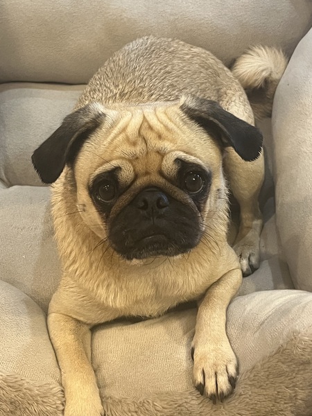 Tilly