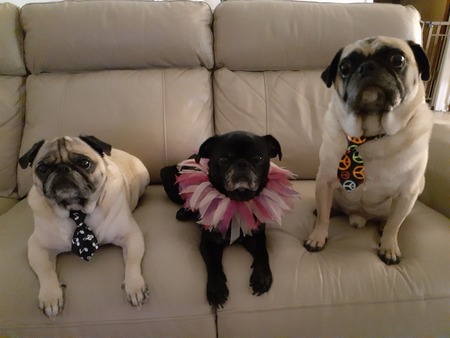 Frank, Georgia &  Sonny