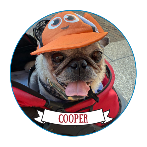 Cooper
