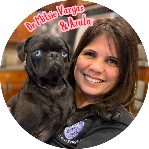 Dr Mitsie Vargas
