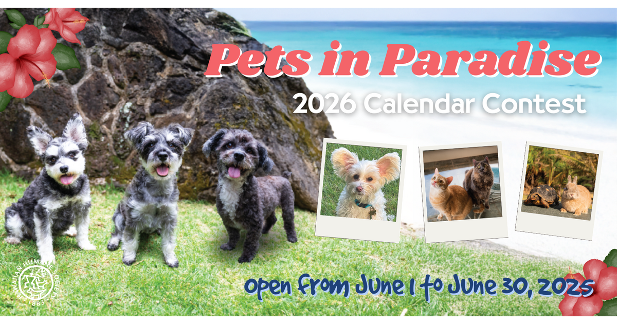 Hawaiian Humane Society 2026 Pets In Paradise Calendar Contest BannerFB 44