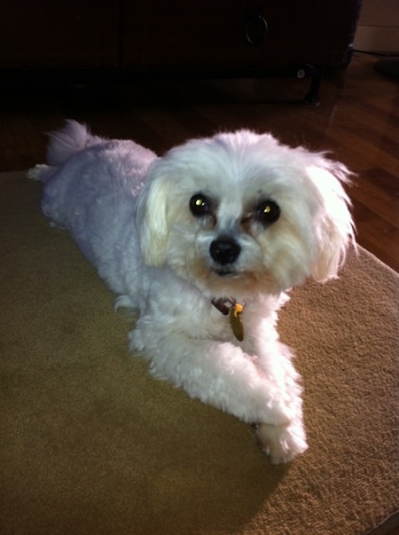 Missy
