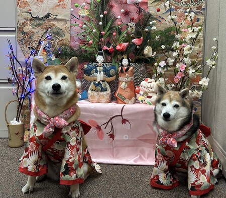 Rubi & Chibi
