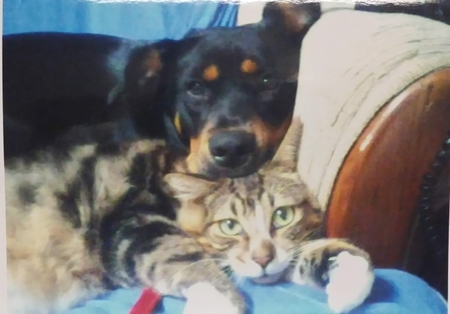 Kamana & Naughty boy