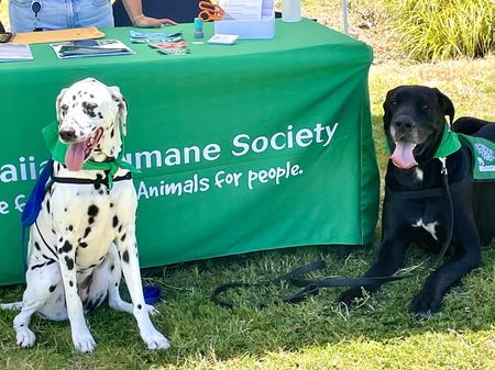 Lani and Hoku (Joy Ambassadors)