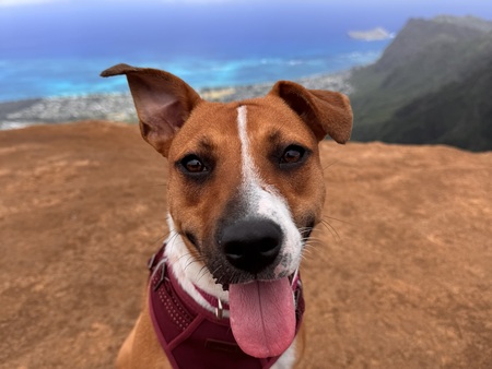 Delilah