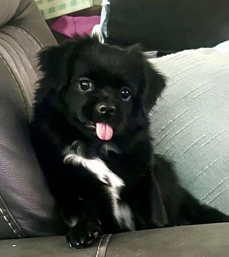Tsuki