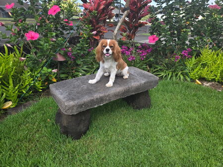 Mahina Gracie