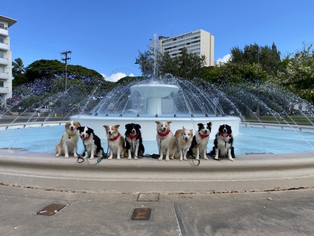 Sunny, Mitsy, Tilley, Sam, Benny, Emi, Kuma, Miki