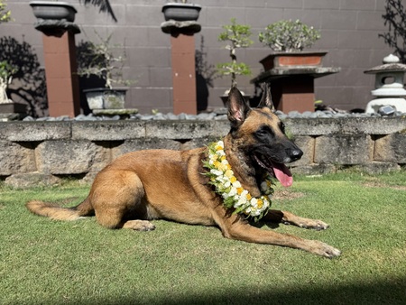 Kai Coelho