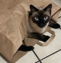 Nalani