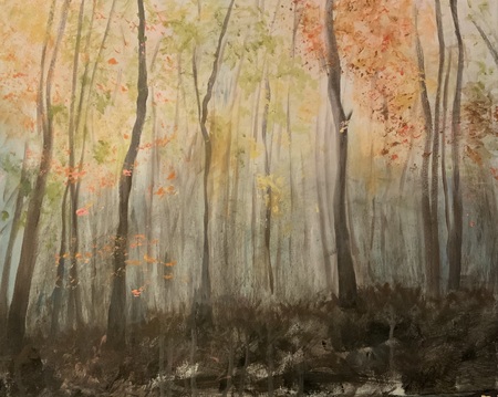 Forest’s edge
