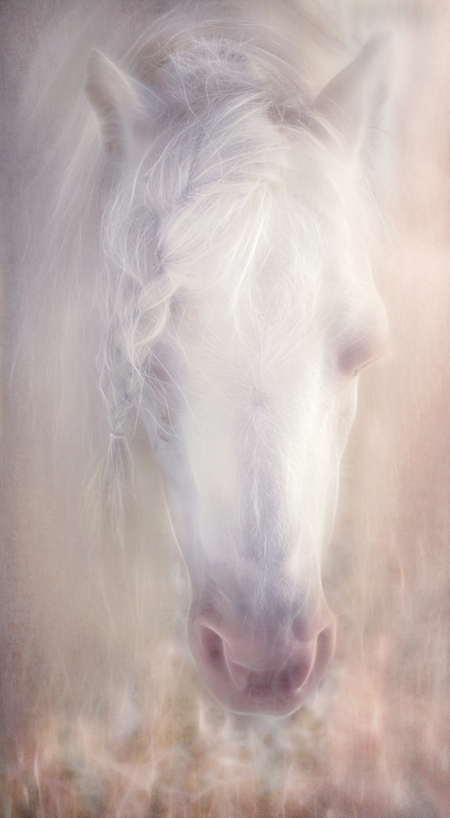Cremello
