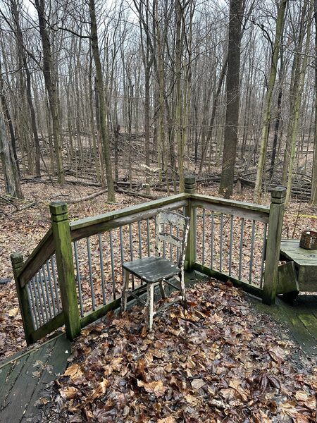Waiting for Spring