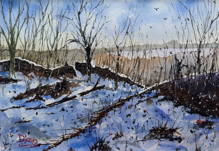 On the Moor