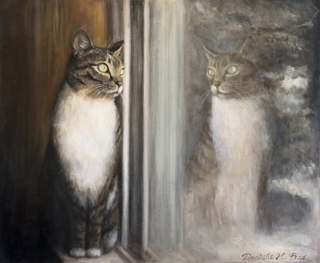 Two of a Kind: A Cat by the Window in Snowy Weather
