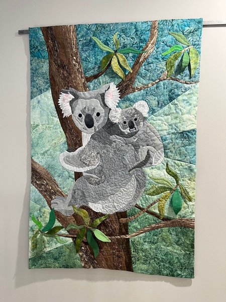 Koalas