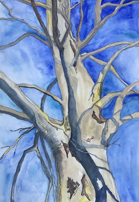 Sycamore in Winter, Ode #10