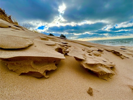 Sand Sculptures