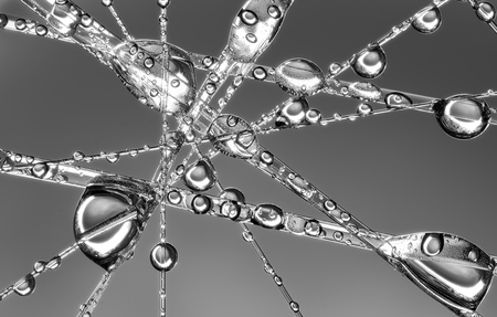 Water Drops