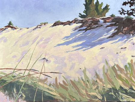 Saugatuck Dunes Full Sun