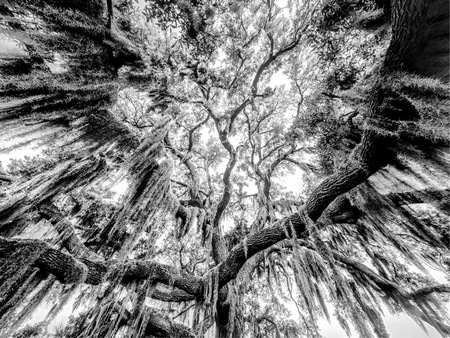 Just Look Up