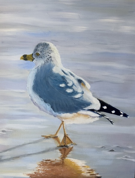The Gull