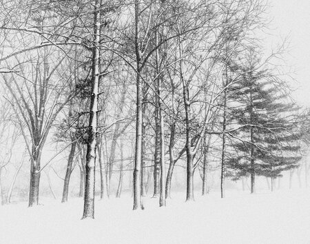 Winter Kissed