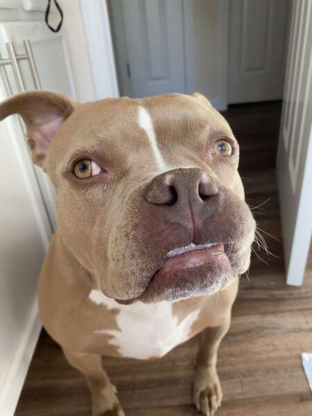 Miss Sandy Jaxson