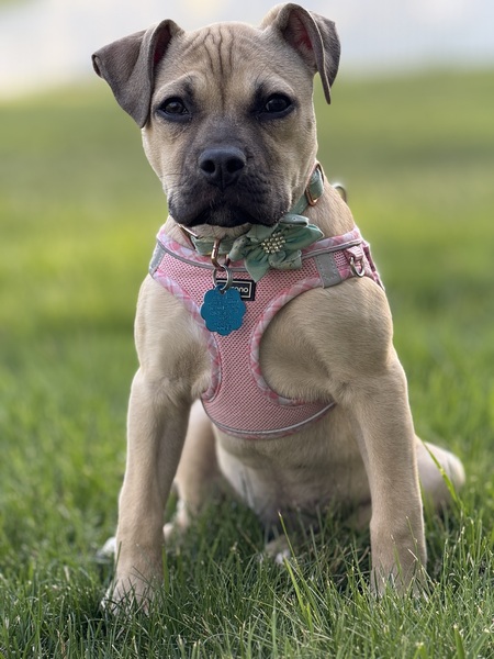 Roxy