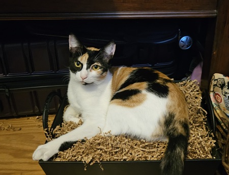Meggie