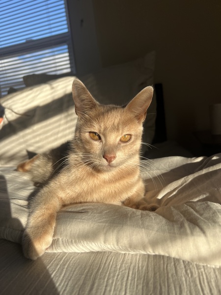Leo