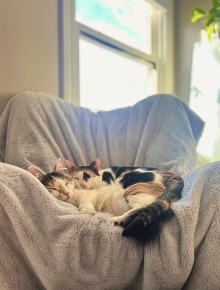 Berta & Nellie 