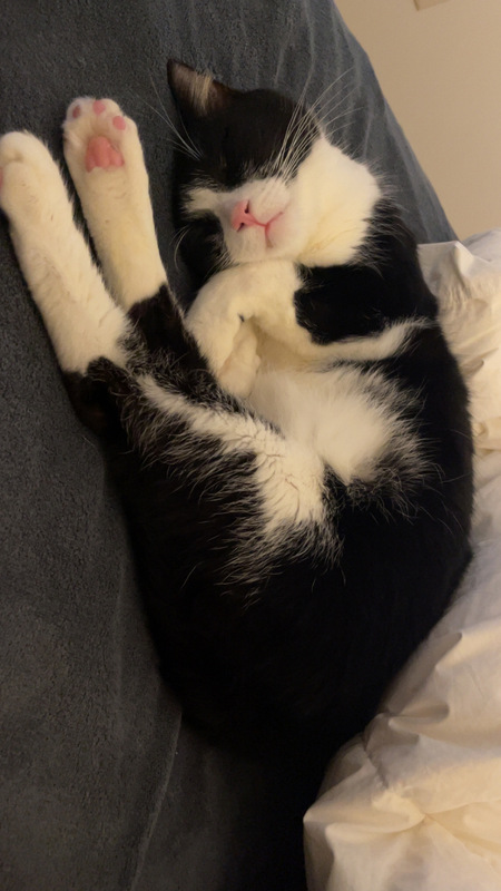 Jasper
