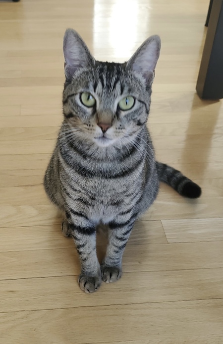 Penny (Formerly Elma)