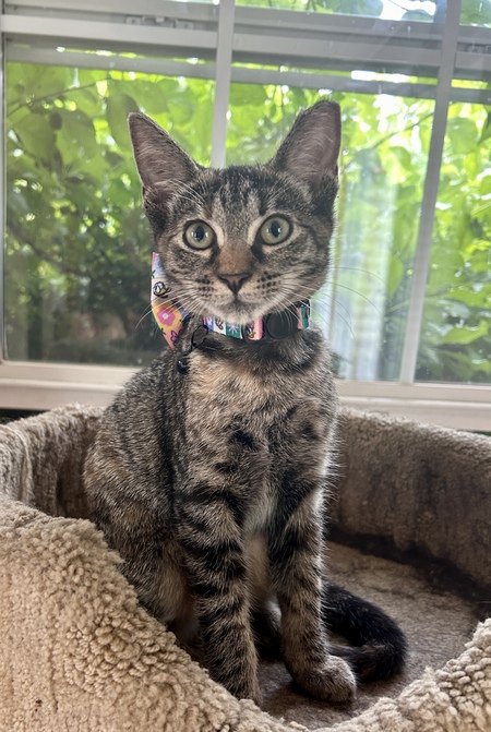 Minnie