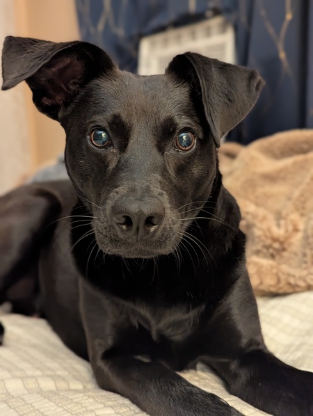 Binx