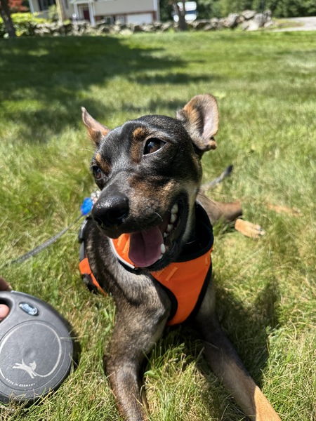 Milo