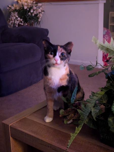 Molly