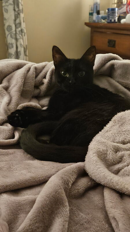 Lily