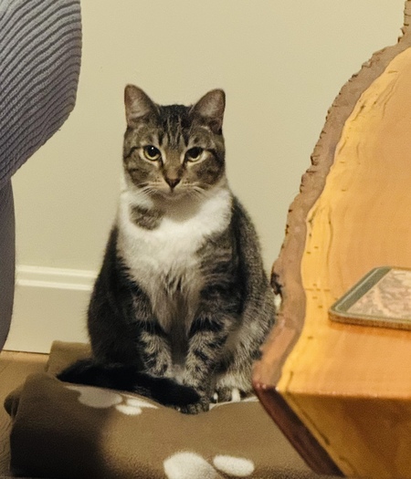 SweetPea