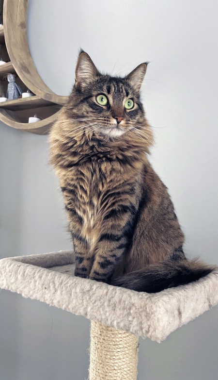 Luna